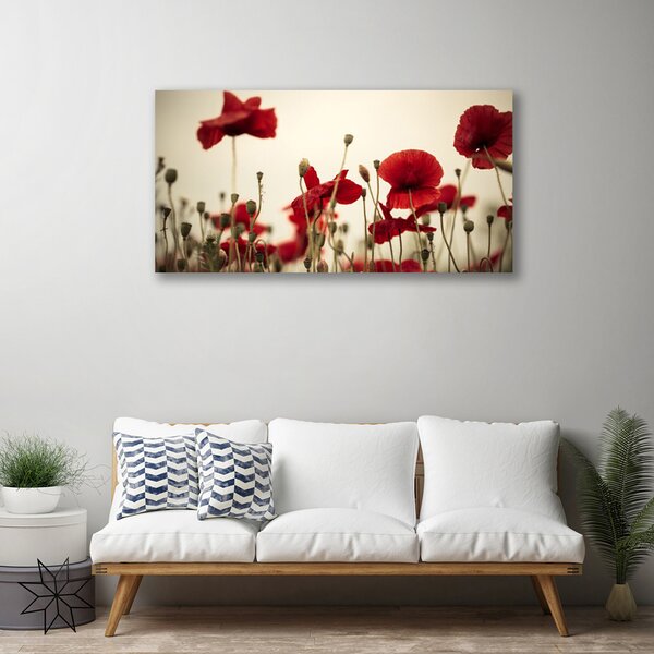 Tablou pe panza canvas Maci Floral Roșu Gri Verde
