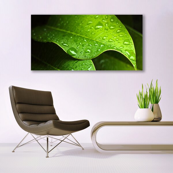 Tablou pe panza canvas Picături de rouă Leaf Floral Verde