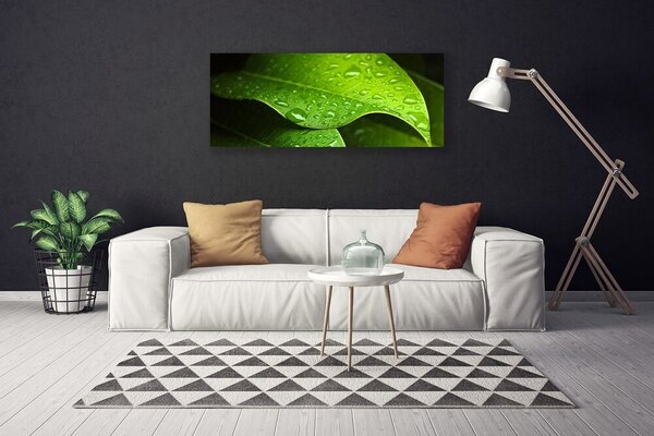 Tablou pe panza canvas Picături de rouă Leaf Floral Verde