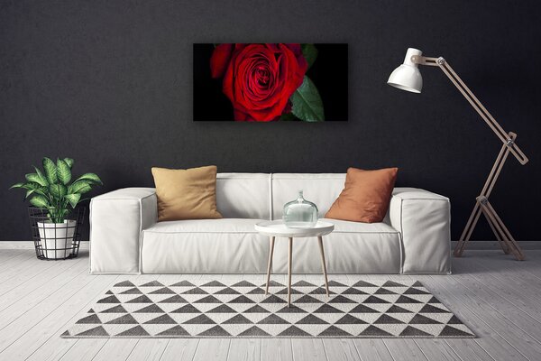 Tablou pe panza canvas Rose Floral Roșu Verde Negru