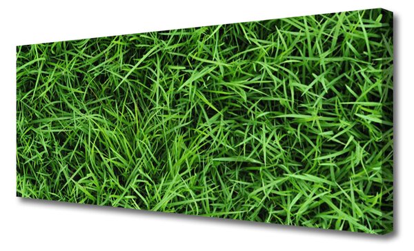 Tablou pe panza canvas Iarbă Lawn Floral Verde