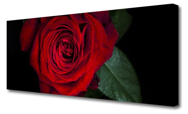 Tablou pe panza canvas Rose Floral Roșu Verde Negru
