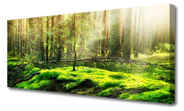 Tablou pe panza canvas Moss Natural Pădurea Verde