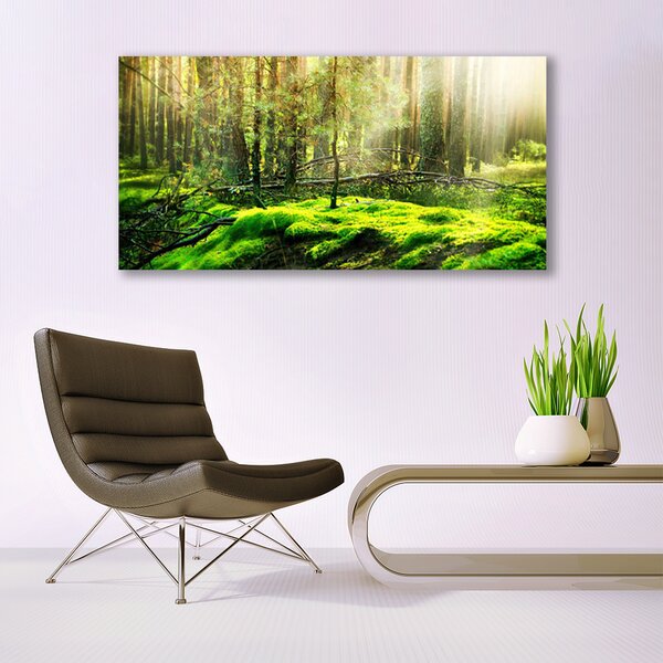 Tablou pe panza canvas Moss Natural Pădurea Verde