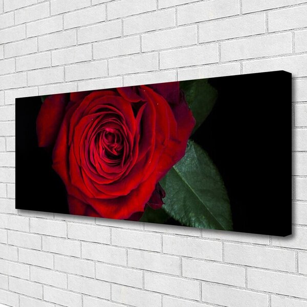 Tablou pe panza canvas Rose Floral Roșu Verde Negru
