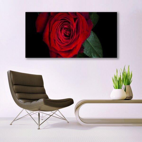 Tablouri acrilice Rose Floral Roșu Verde Negru