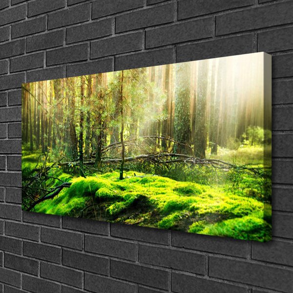 Tablou pe panza canvas Moss Natural Pădurea Verde