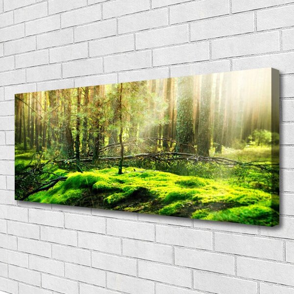 Tablou pe panza canvas Moss Natural Pădurea Verde