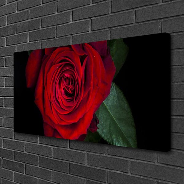 Tablou pe panza canvas Rose Floral Roșu Verde Negru