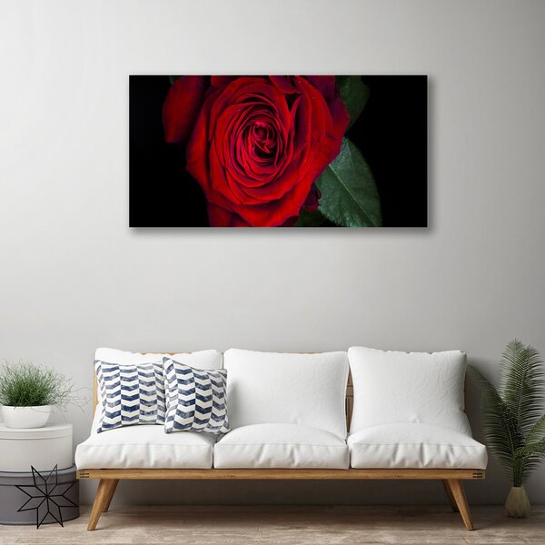 Tablou pe panza canvas Rose Floral Roșu Verde Negru