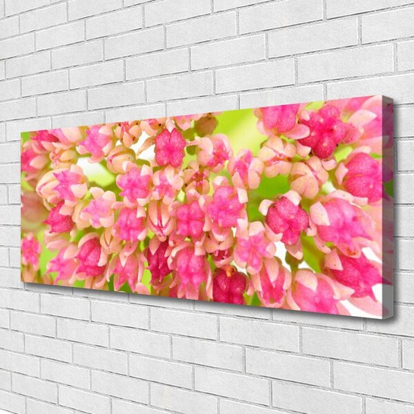 Tablou pe panza canvas Floare roz Floral
