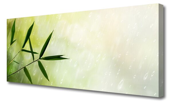 Tablou pe panza canvas Frunze de ploaie Floral Verde