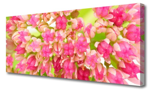 Tablou pe panza canvas Floare roz Floral