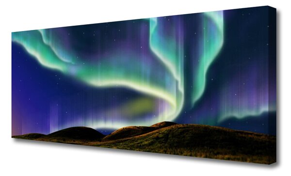 Tablou pe panza canvas Aurora Peisaj albastru