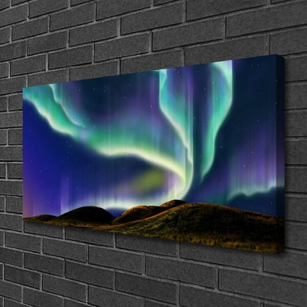 Tablou pe panza canvas Aurora Peisaj albastru