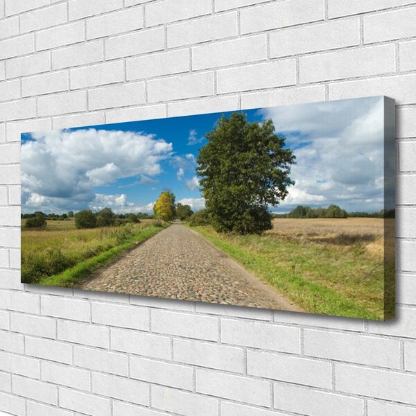 Tablou pe panza canvas Tara Road Pavaje Peisaj Verde Albastru