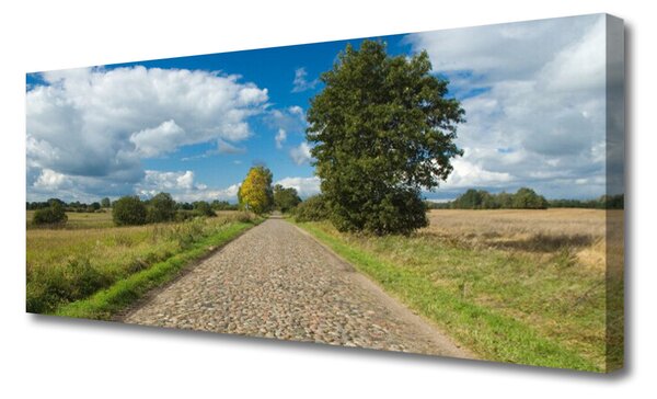 Tablou pe panza canvas Tara Road Pavaje Peisaj Verde Albastru