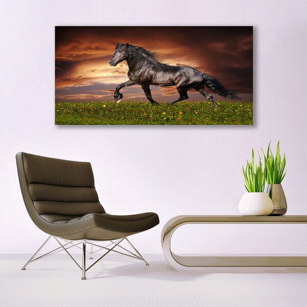 Tablou pe panza canvas Black Horse Meadow Animale Negru Verde Roșu