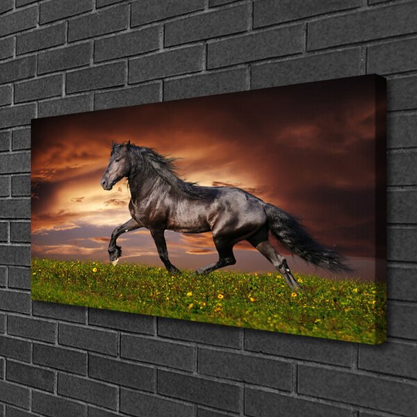Tablou pe panza canvas Black Horse Meadow Animale Negru Verde Roșu