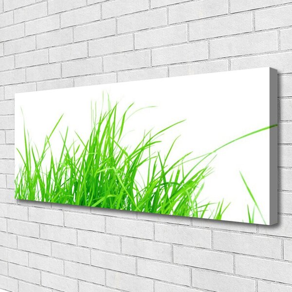 Tablou pe panza canvas Iarbă Floral Verde Alb