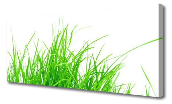 Tablou pe panza canvas Iarbă Floral Verde Alb