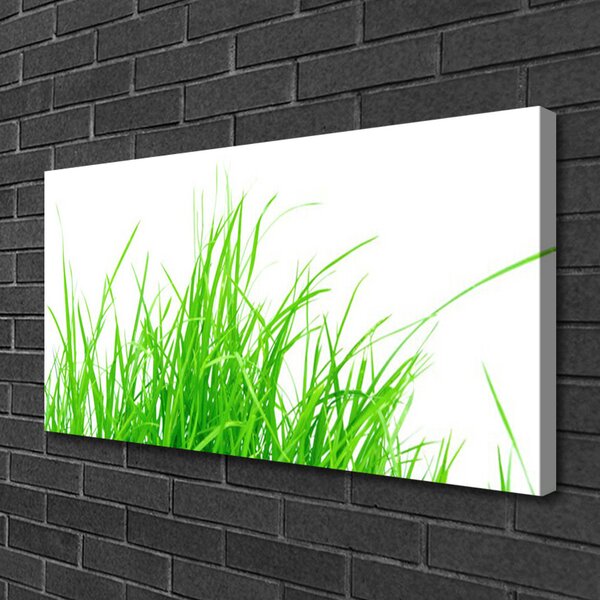 Tablou pe panza canvas Iarbă Floral Verde Alb