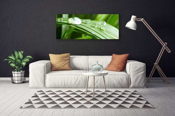 Tablou pe panza canvas Frunze Picături de rouă Floral Verde