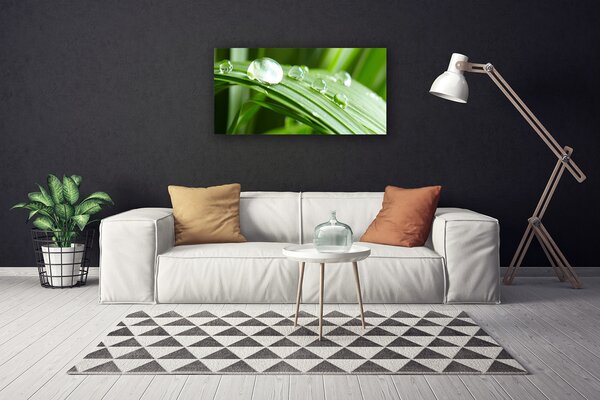 Tablou pe panza canvas Frunze Picături de rouă Floral Verde
