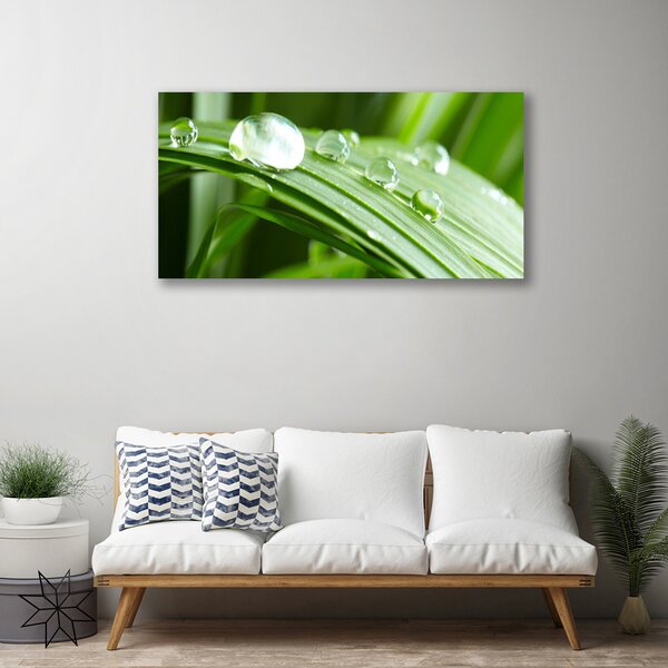 Tablou pe panza canvas Frunze Picături de rouă Floral Verde