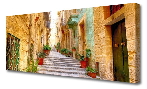 Tablou pe panza canvas Old Town Street Case Multi