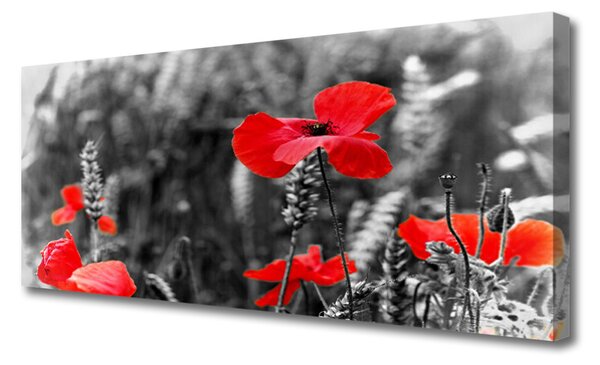 Tablou pe panza canvas Maci Floral Roșu Gri