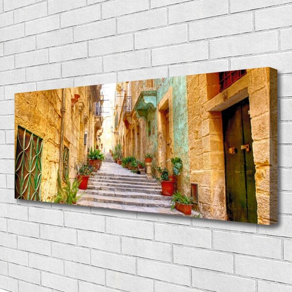 Tablou pe panza canvas Old Town Street Case Multi