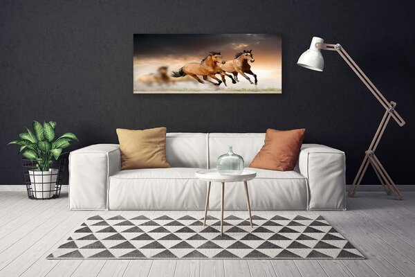 Tablou pe panza canvas Cai Animale Maro