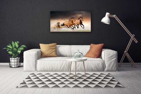 Tablou pe panza canvas Cai Animale Maro