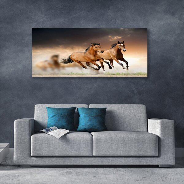 Tablou pe panza canvas Cai Animale Maro