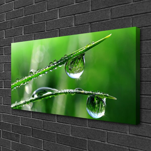 Tablou pe panza canvas Iarbă Picături de rouă Floral Verde