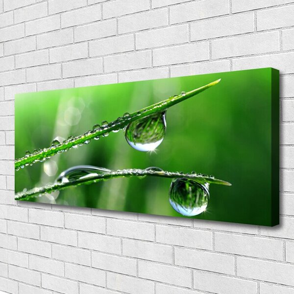 Tablou pe panza canvas Iarbă Picături de rouă Floral Verde