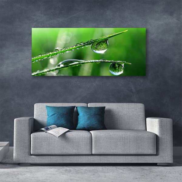 Tablou pe panza canvas Iarbă Picături de rouă Floral Verde
