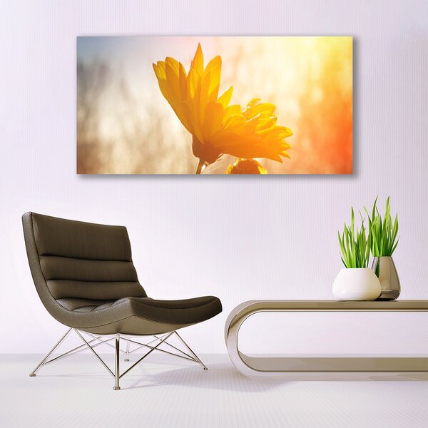 Tablou pe panza canvas Floarea soarelui Floral Galben