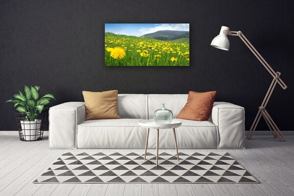 Tablou pe panza canvas Păpădie Câmp Natura Galben Verde Albastru