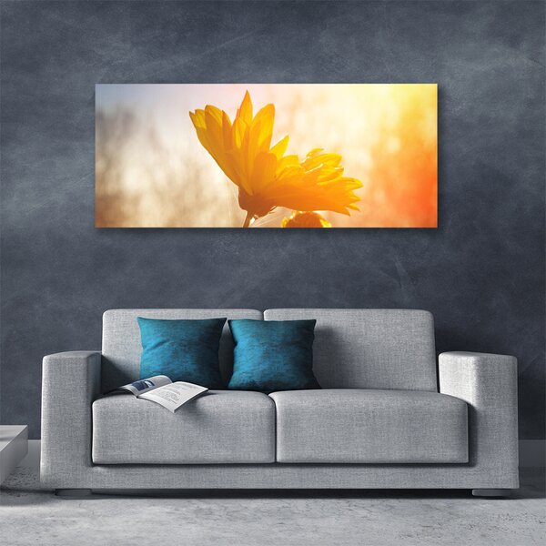 Tablou pe panza canvas Floarea soarelui Floral Galben
