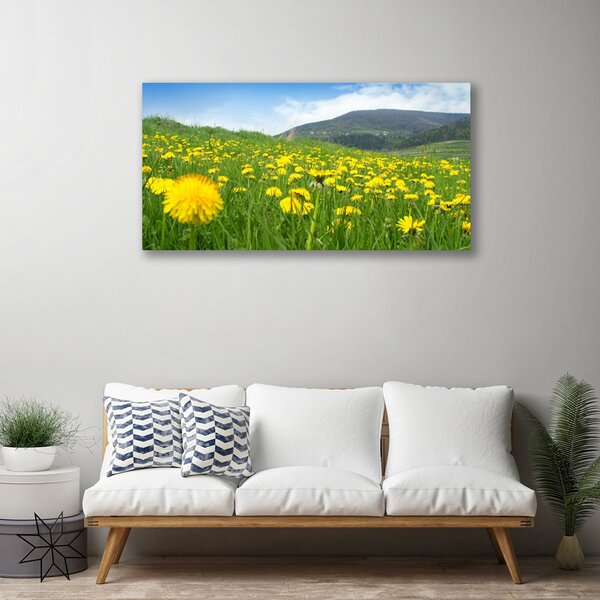 Tablou pe panza canvas Păpădie Câmp Natura Galben Verde Albastru