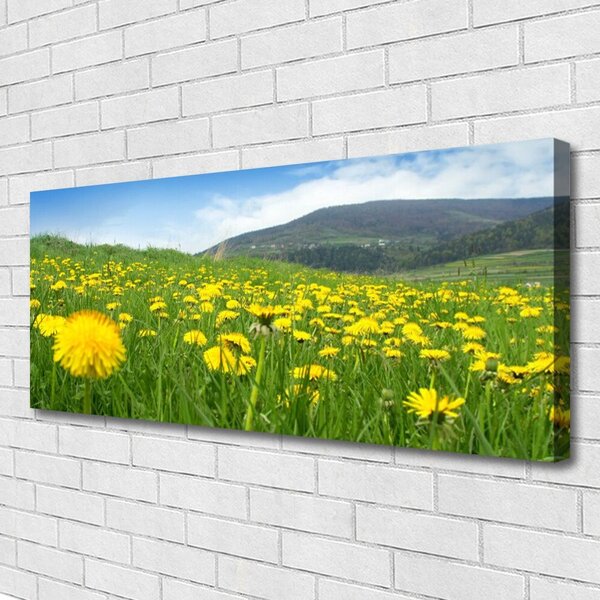 Tablou pe panza canvas Păpădie Câmp Natura Galben Verde Albastru