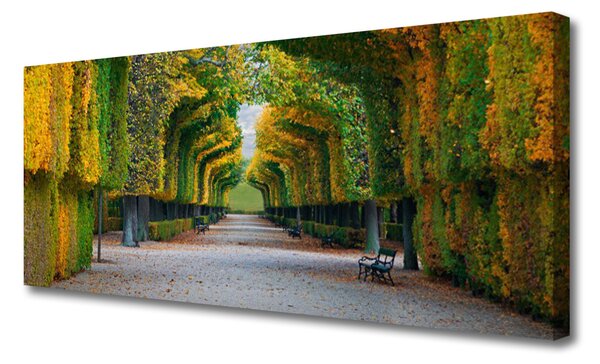 Tablou pe panza canvas Parcul de toamnă Grădină Natura Verde Galben