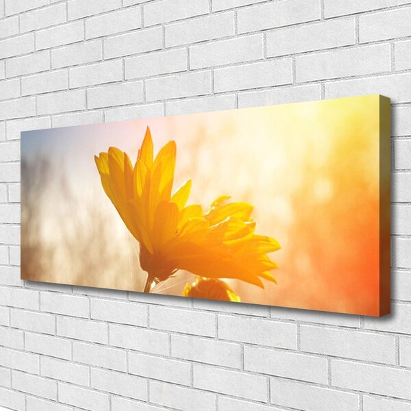 Tablou pe panza canvas Floarea soarelui Floral Galben