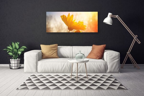 Tablou pe panza canvas Floarea soarelui Floral Galben
