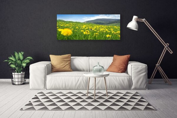 Tablou pe panza canvas Păpădie Câmp Natura Galben Verde Albastru