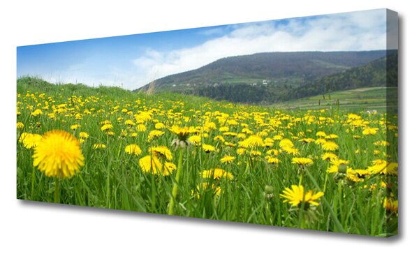 Tablou pe panza canvas Păpădie Câmp Natura Galben Verde Albastru
