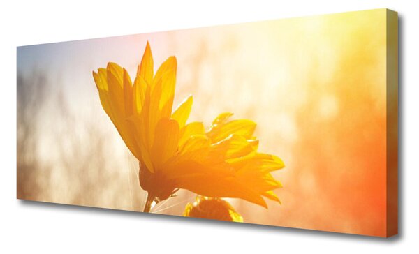 Tablou pe panza canvas Floarea soarelui Floral Galben