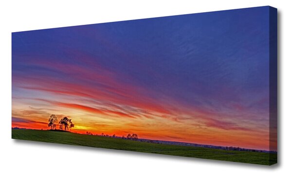 Tablou pe panza canvas Peisaj Câmp Copaci Natura Albastru Violet Roșu Galben